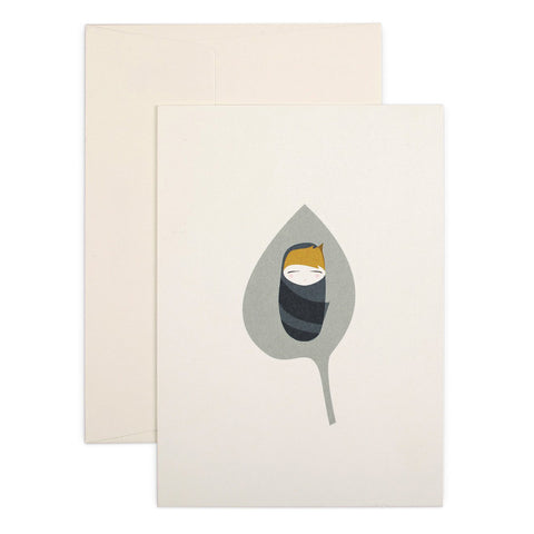 Baby Boy Products
